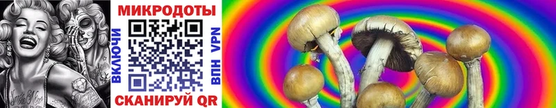 наркотики  MEGA сайт  Псилоцибиновые грибы Cubensis  Чердынь 